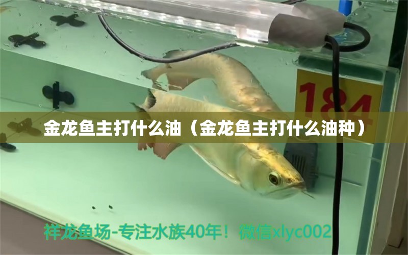 金龍魚主打什么油（金龍魚主打什么油種）