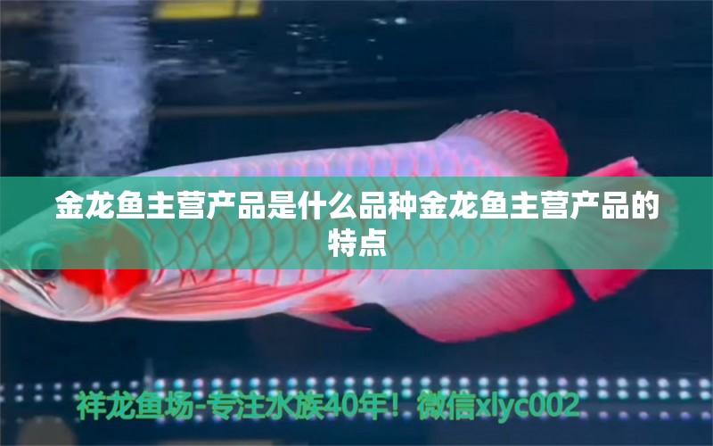 金龍魚主營產(chǎn)品是什么品種金龍魚主營產(chǎn)品的特點 觀賞魚進出口