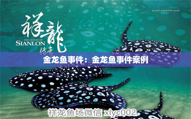 金龍魚事件：金龍魚事件案例