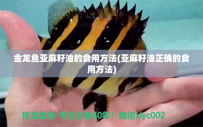 金龍魚亞麻籽油的食用方法(亞麻籽油正確的食用方法) ?；?異型虎魚/純色虎魚