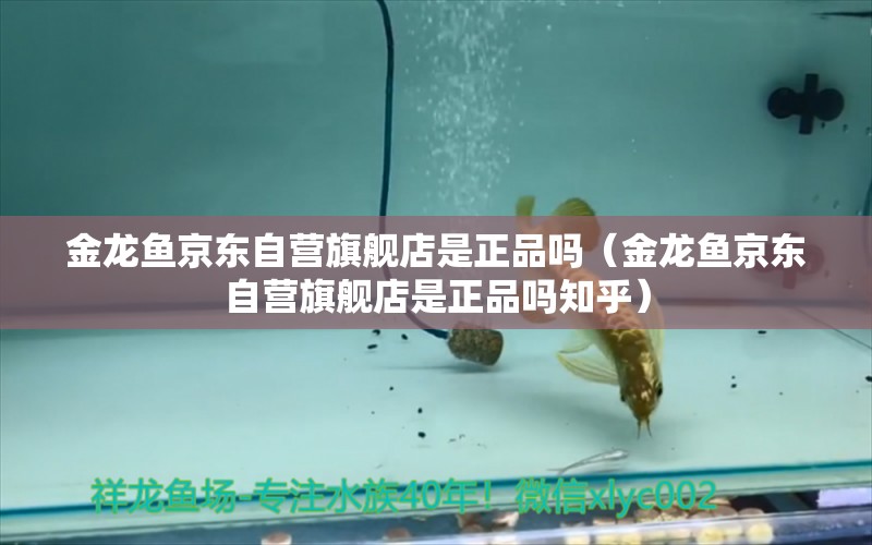 金龍魚京東自營旗艦店是正品嗎（金龍魚京東自營旗艦店是正品嗎知乎） 吉印水族