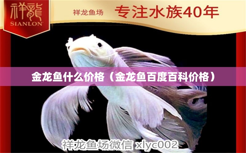 金龍魚什么價(jià)格（金龍魚百度百科價(jià)格） 斑馬鴨嘴魚 第1張