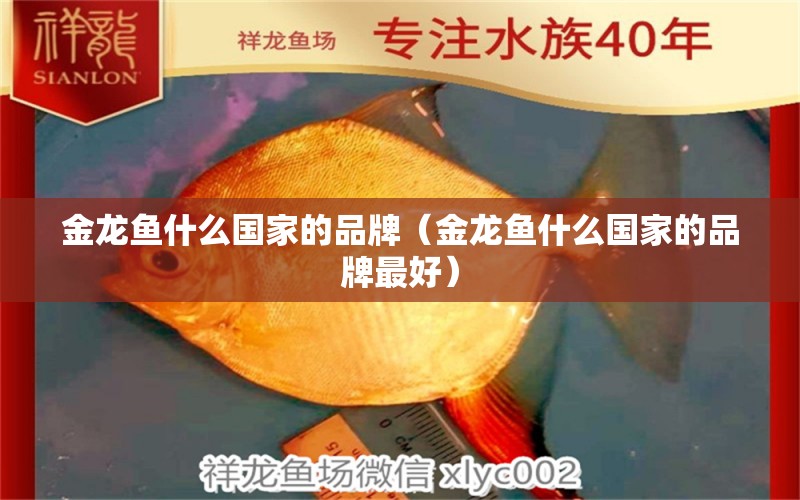 金龍魚什么國家的品牌（金龍魚什么國家的品牌最好）