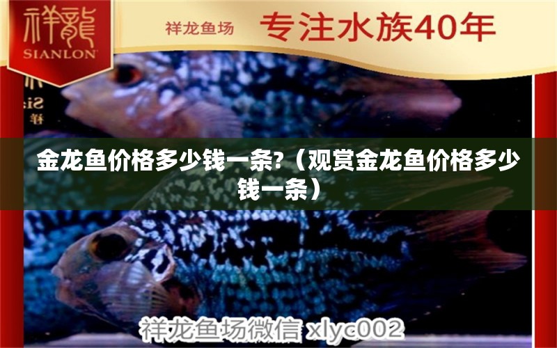 金龍魚價(jià)格多少錢一條?（觀賞金龍魚價(jià)格多少錢一條）