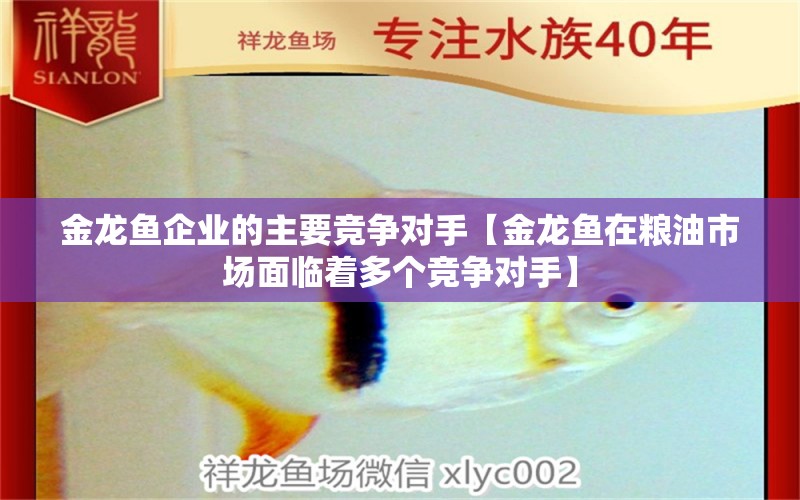 金龍魚企業(yè)的主要競爭對手【金龍魚在糧油市場面臨著多個競爭對手】 龍魚百科 第1張