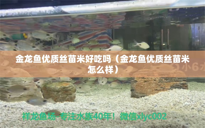 金龍魚優(yōu)質(zhì)絲苗米好吃嗎（金龍魚優(yōu)質(zhì)絲苗米怎么樣）