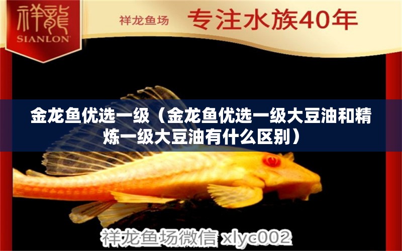 金龍魚優(yōu)選一級（金龍魚優(yōu)選一級大豆油和精煉一級大豆油有什么區(qū)別）