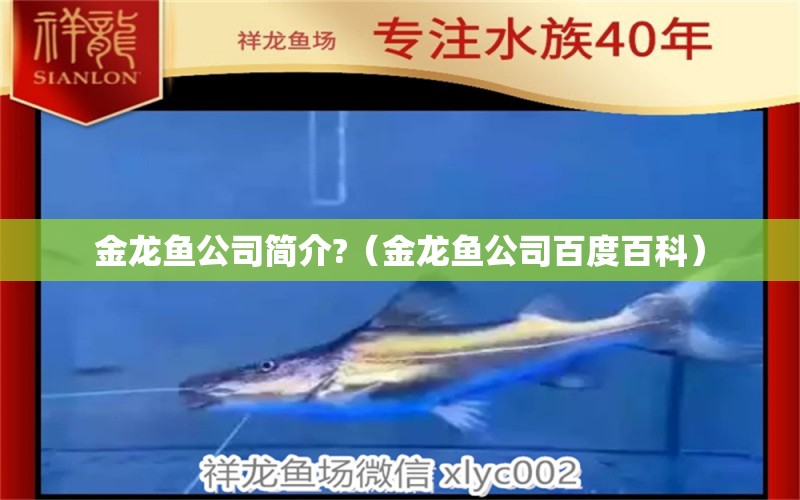 金龍魚公司簡介?（金龍魚公司百度百科） 廣州觀賞魚批發(fā)市場