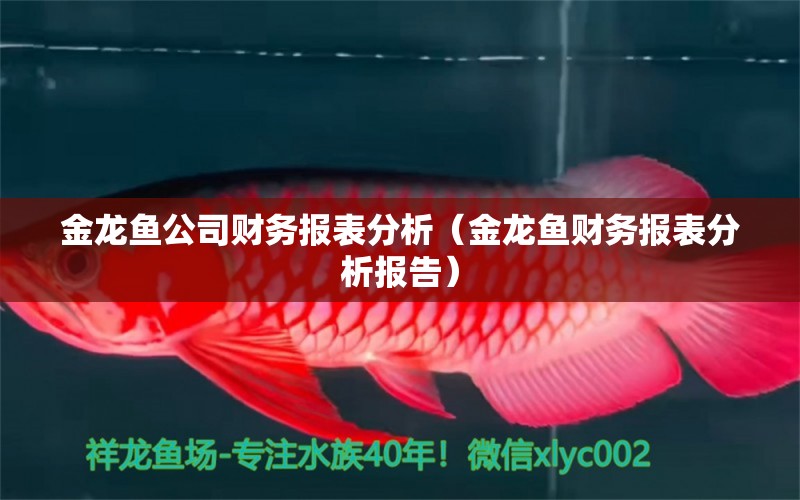 金龍魚公司財務報表分析（金龍魚財務報表分析報告） 白化巴西龜（白巴）