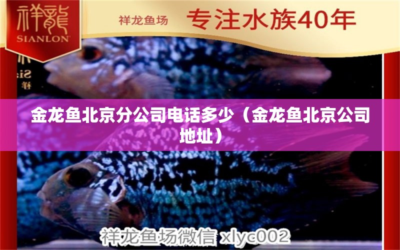 金龍魚北京分公司電話多少（金龍魚北京公司地址）