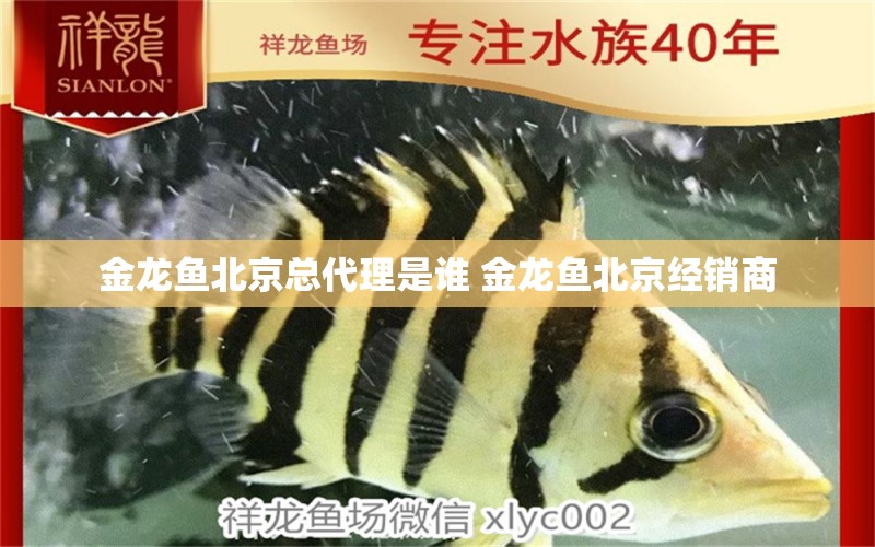 金龍魚(yú)北京總代理是誰(shuí) 金龍魚(yú)北京經(jīng)銷(xiāo)商 水族品牌 第1張