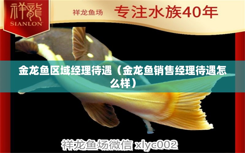 金龍魚區(qū)域經(jīng)理待遇（金龍魚銷售經(jīng)理待遇怎么樣） 魚缸等水族設(shè)備