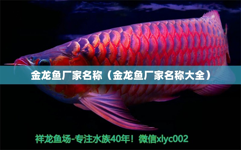 金龍魚廠家名稱（金龍魚廠家名稱大全） 祥龍水族醫(yī)院