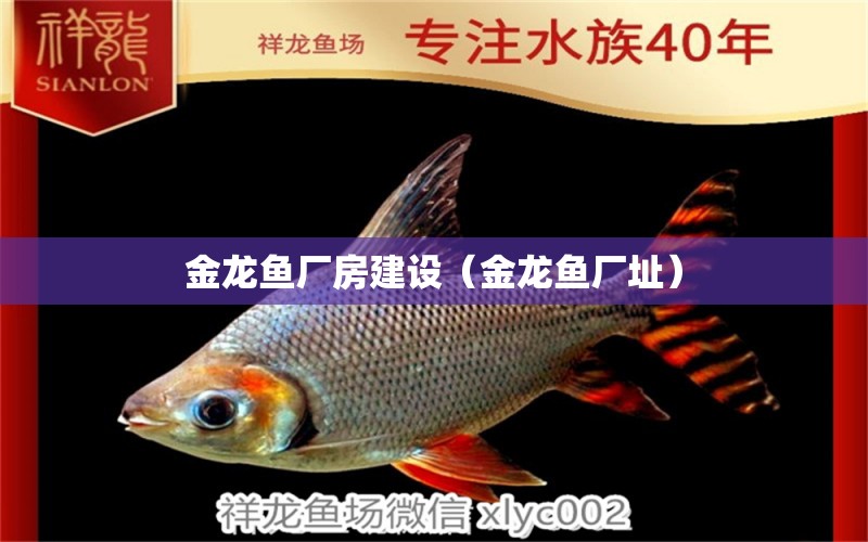 金龍魚廠房建設(shè)（金龍魚廠址）