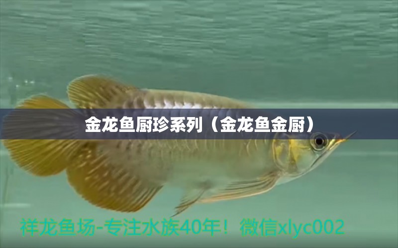 金龍魚廚珍系列（金龍魚金廚）