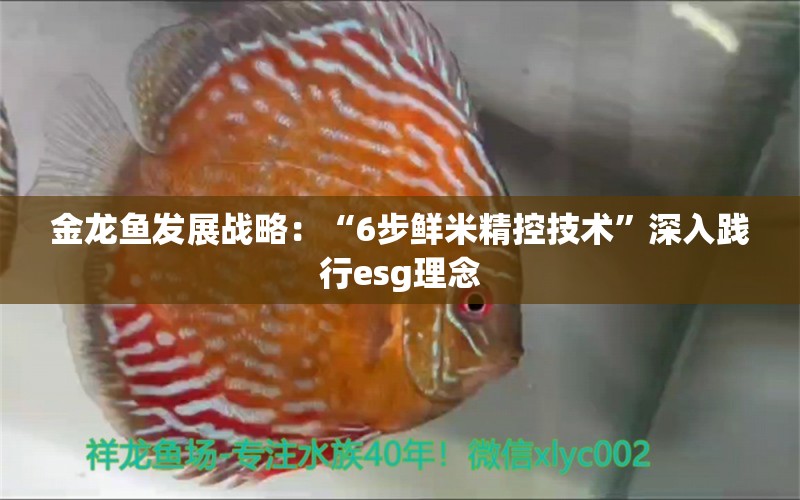 金龍魚發(fā)展戰(zhàn)略：“6步鮮米精控技術(shù)”深入踐行esg理念 龍魚百科 第2張