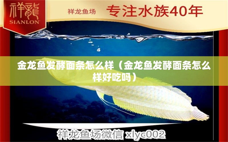 金龍魚發(fā)酵面條怎么樣（金龍魚發(fā)酵面條怎么樣好吃嗎）