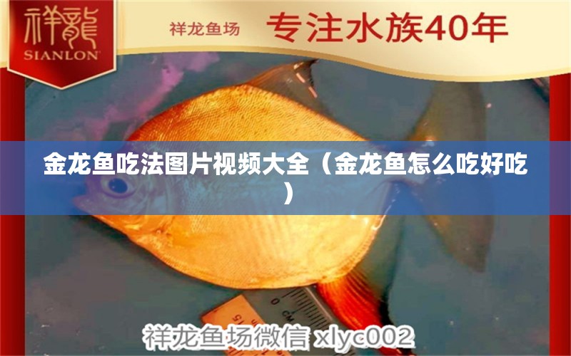 金龍魚吃法圖片視頻大全（金龍魚怎么吃好吃） 觀賞魚批發(fā)