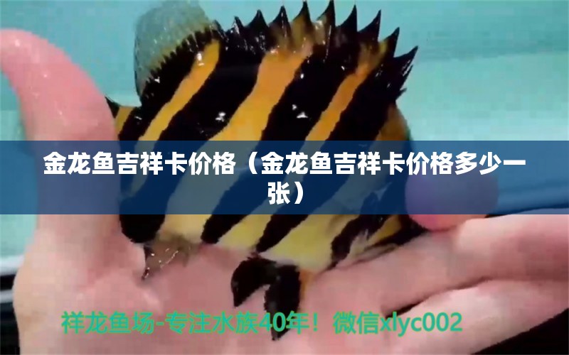 金龍魚吉祥卡價格（金龍魚吉祥卡價格多少一張）