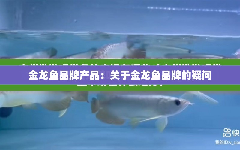 金龍魚品牌產(chǎn)品：關(guān)于金龍魚品牌的疑問 水族問答 第1張