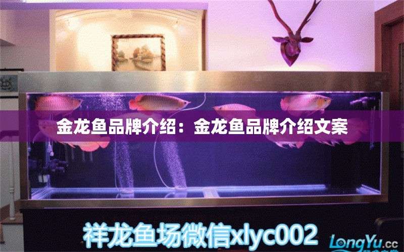 金龍魚品牌介紹：金龍魚品牌介紹文案