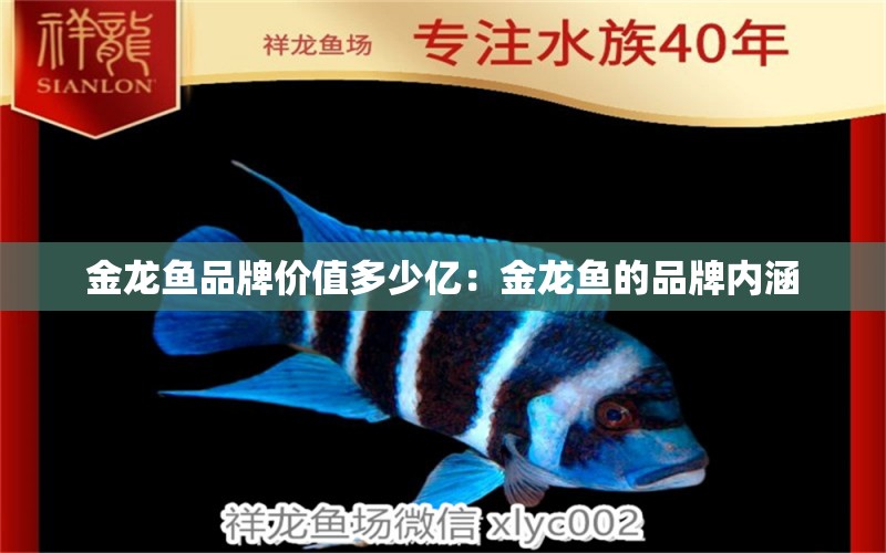 金龍魚品牌價值多少億：金龍魚的品牌內(nèi)涵