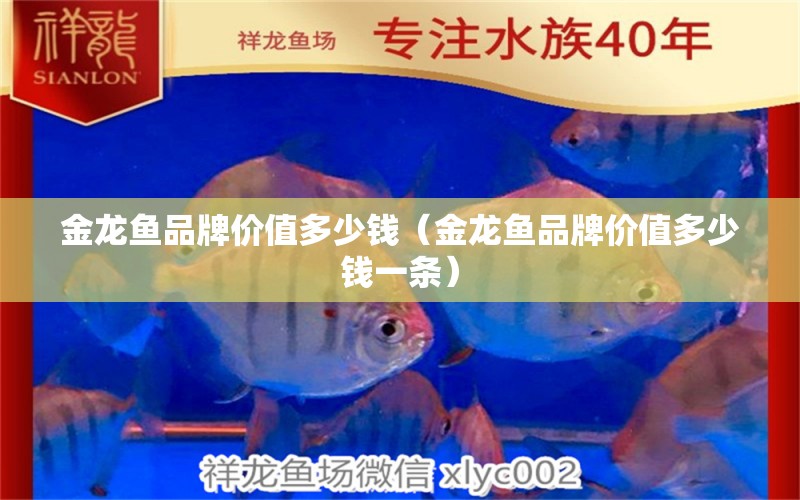 金龍魚品牌價值多少錢（金龍魚品牌價值多少錢一條）