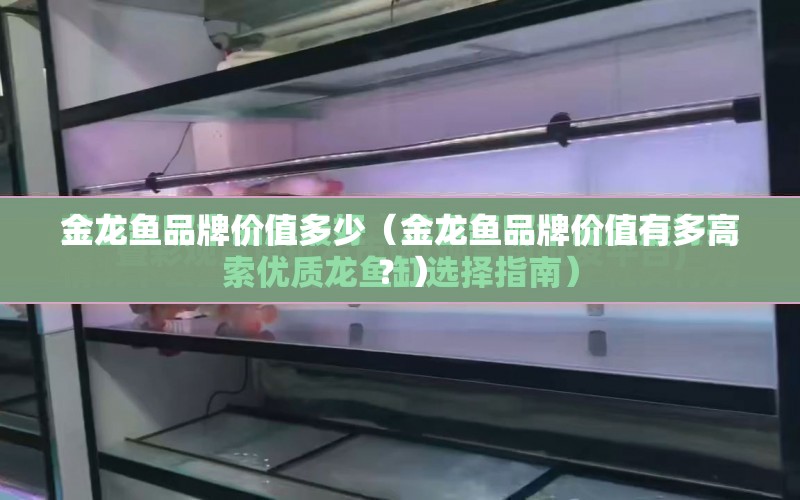 金龍魚品牌價值多少（金龍魚品牌價值有多高？） 水族問答 第1張