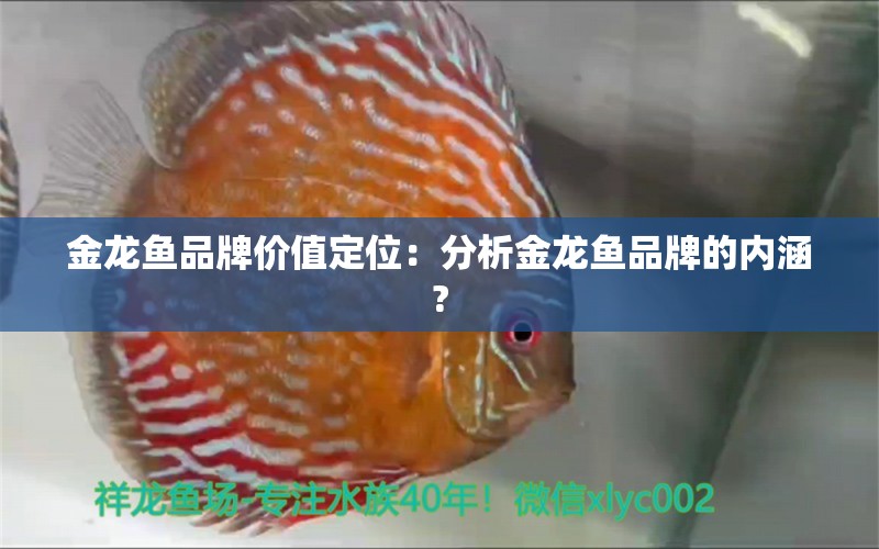 金龍魚品牌價值定位：分析金龍魚品牌的內(nèi)涵?