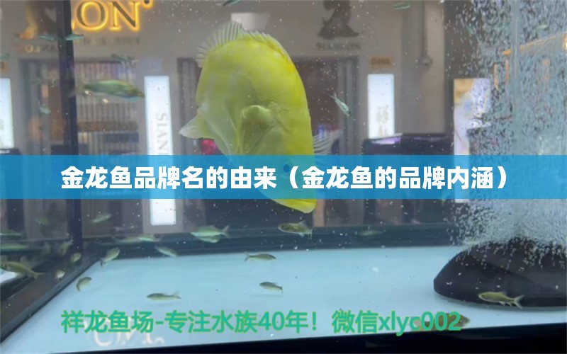 金龍魚品牌名的由來（金龍魚的品牌內涵） 其他品牌魚缸