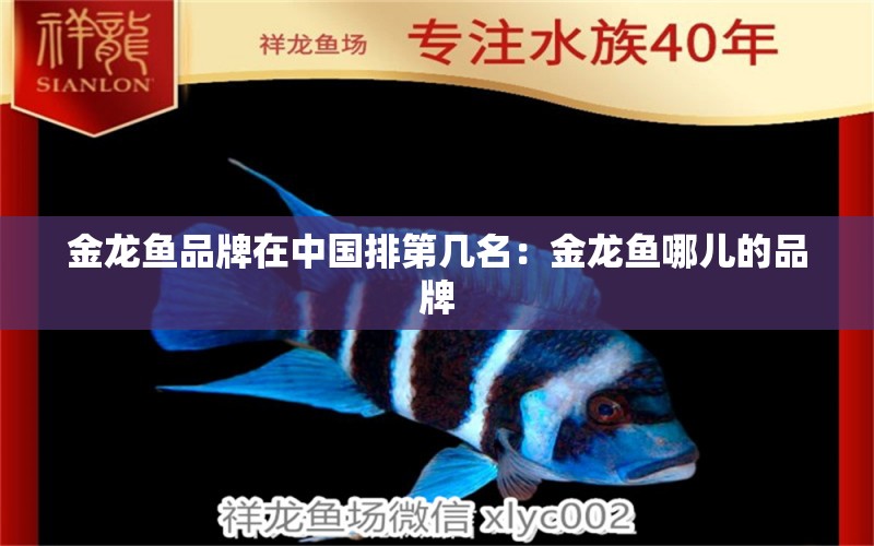 金龍魚品牌在中國排第幾名：金龍魚哪兒的品牌