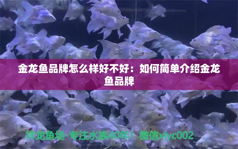 金龍魚品牌怎么樣好不好：如何簡單介紹金龍魚品牌