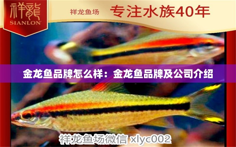 金龍魚(yú)品牌怎么樣：金龍魚(yú)品牌及公司介紹