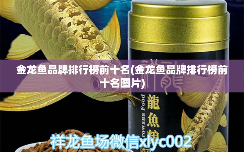 金龍魚品牌排行榜前十名(金龍魚品牌排行榜前十名圖片)