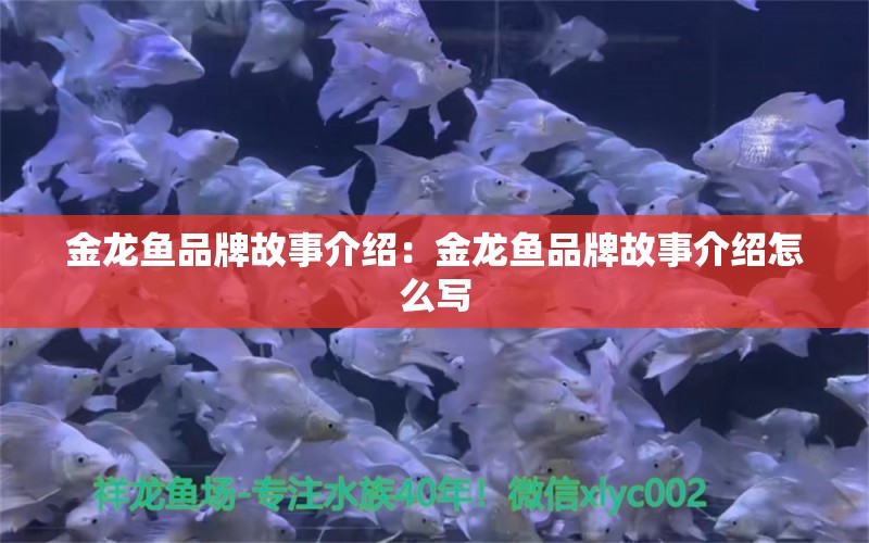 金龍魚品牌故事介紹：金龍魚品牌故事介紹怎么寫