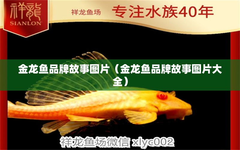 金龍魚品牌故事圖片（金龍魚品牌故事圖片大全）