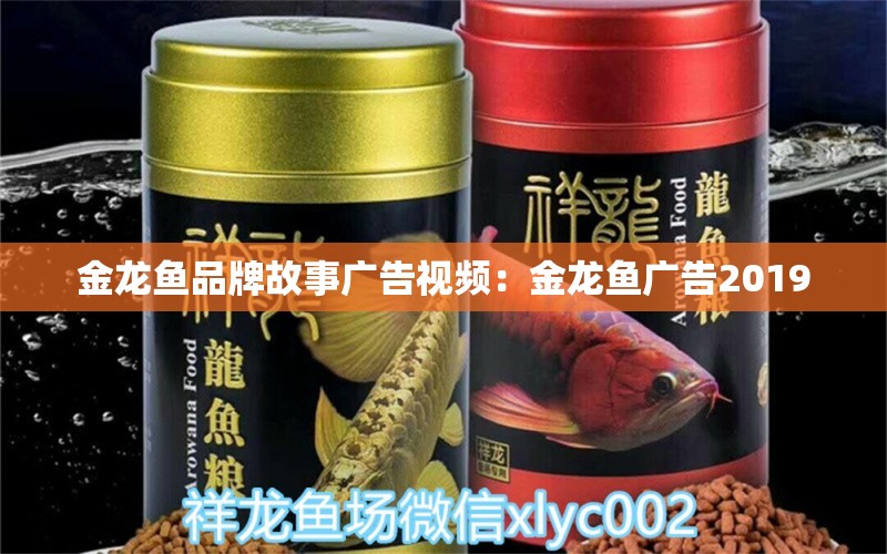 金龍魚品牌故事廣告視頻：金龍魚廣告2019