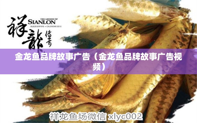 金龍魚品牌故事廣告（金龍魚品牌故事廣告視頻）