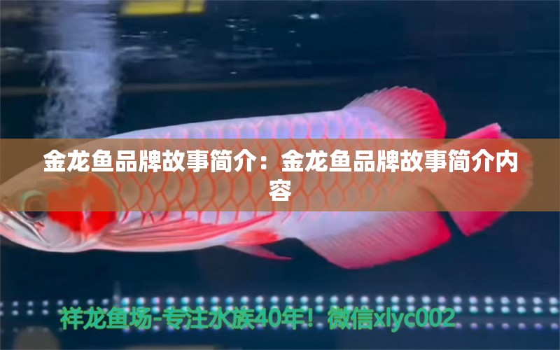 金龍魚品牌故事簡介：金龍魚品牌故事簡介內(nèi)容 廣州龍魚批發(fā)市場