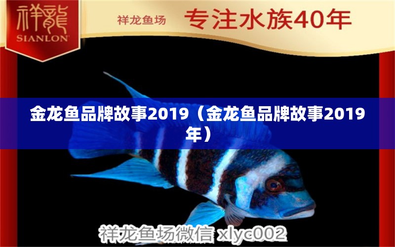 金龍魚(yú)品牌故事2019（金龍魚(yú)品牌故事2019年） 其他品牌魚(yú)缸