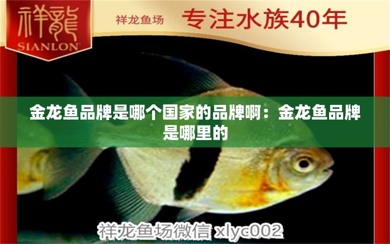 金龍魚品牌是哪個國家的品牌?。航瘕堲~品牌是哪里的