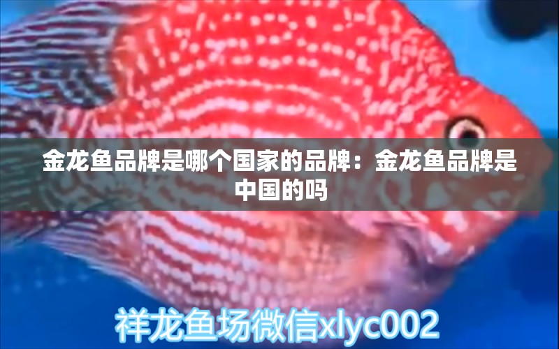 金龍魚品牌是哪個(gè)國家的品牌：金龍魚品牌是中國的嗎