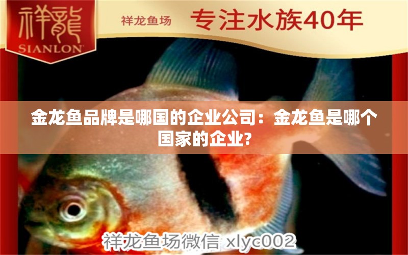 金龍魚品牌是哪國的企業(yè)公司：金龍魚是哪個國家的企業(yè)?