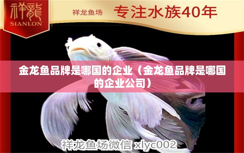 金龍魚(yú)品牌是哪國(guó)的企業(yè)（金龍魚(yú)品牌是哪國(guó)的企業(yè)公司）