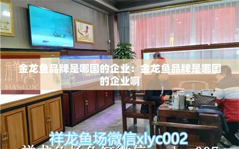 金龍魚品牌是哪國的企業(yè)：金龍魚品牌是哪國的企業(yè)啊 廣州龍魚批發(fā)市場