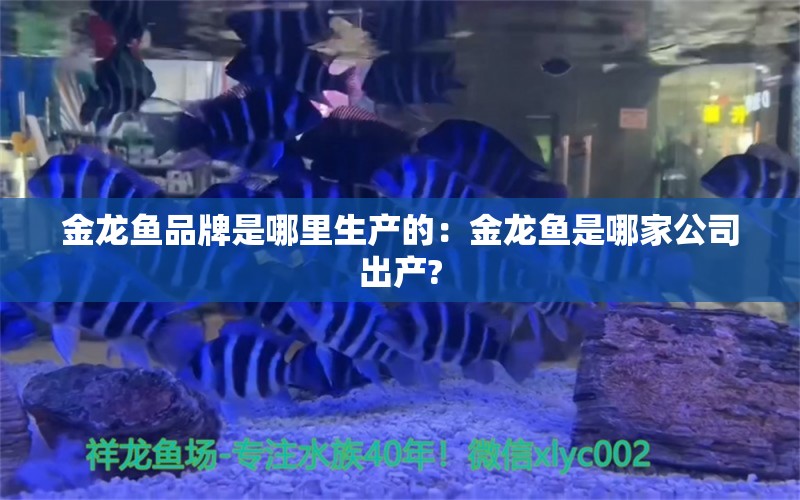 金龍魚(yú)品牌是哪里生產(chǎn)的：金龍魚(yú)是哪家公司出產(chǎn)?