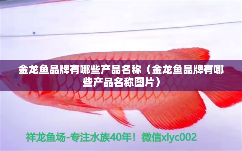 金龍魚品牌有哪些產品名稱（金龍魚品牌有哪些產品名稱圖片）