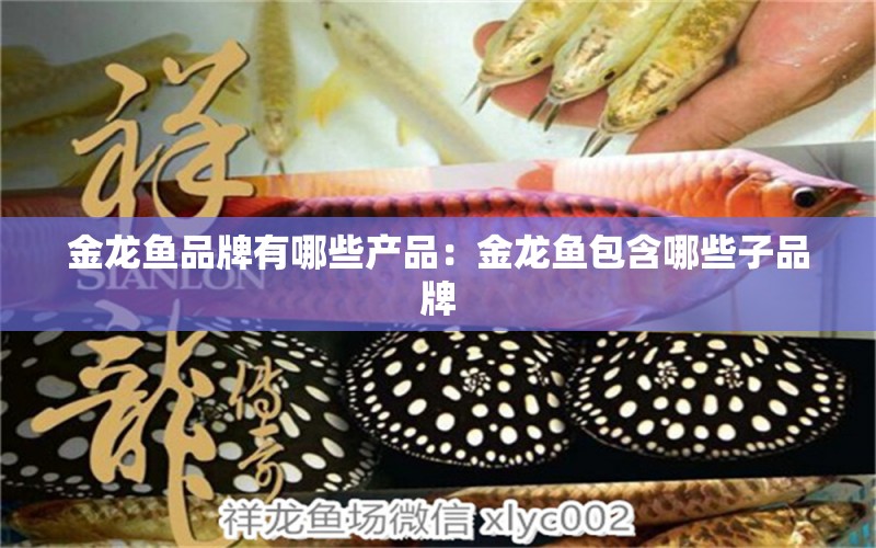 金龍魚品牌有哪些產品：金龍魚包含哪些子品牌