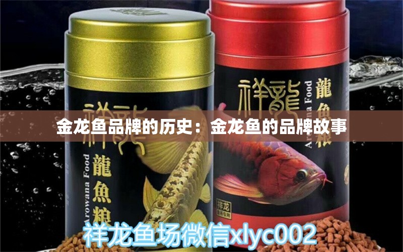 金龍魚品牌的歷史：金龍魚的品牌故事