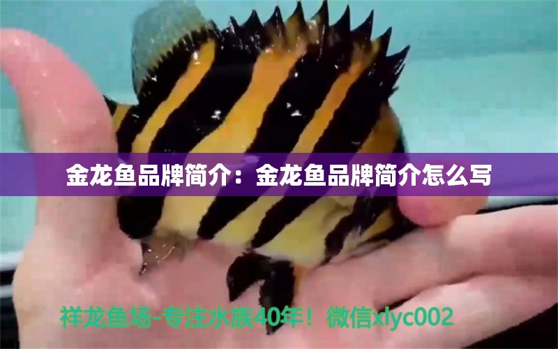 金龍魚品牌簡介：金龍魚品牌簡介怎么寫